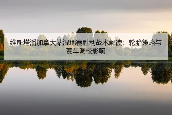 维斯塔潘加拿大站湿地赛胜利战术解读：轮胎策略与赛车调校影响